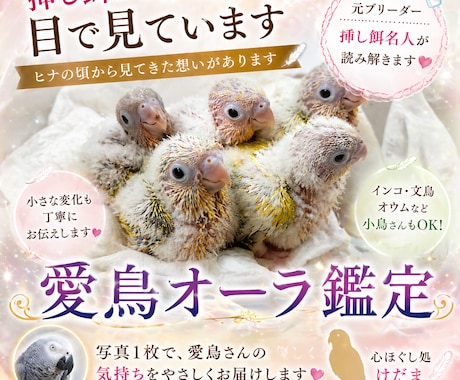 あなたの愛鳥オーラを画像にします 鳥のオーラにも、飼い主様へのメッセージが隠されています イメージ1