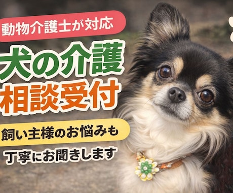 犬の介護・ケア・飼い主様の悩みも丁寧にお聞きします 動物介護士、動物介護ホーム責任者の資格者が対応します イメージ1