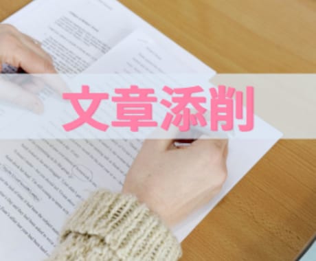 文章の添削をします ES/志望理由書/入試・就職・昇進試験の小論文を添削します イメージ1
