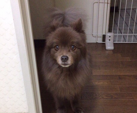 ココナラ内メッセージにて2日間、恋愛相談のります みんな悩みは違います。老若男女様々な年代の方お話してください イメージ2
