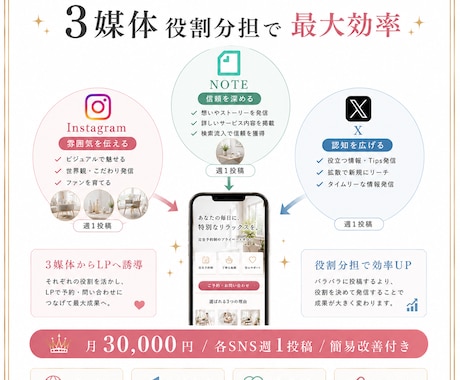 SNS3媒体からLPへ誘導 運用代行します SNS3媒体でLP誘導+簡易改善 月30,000円 イメージ2