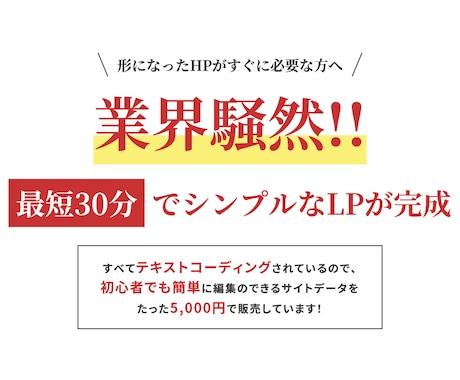 シンプルなLPを最短即日作成します テキスト原稿を元にhtmlとcssだけでコーディングします。 イメージ1