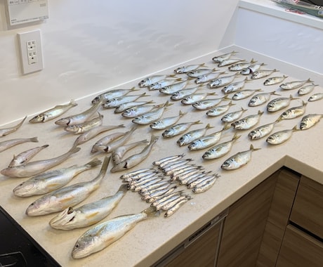 はじめての魚釣り！をお手伝いします 魚釣り、何からすれば良いの？をレクチャーします！ イメージ1