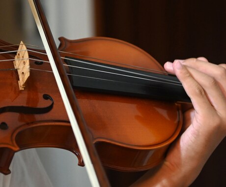 ヴァイオリン初心者向けのオンラインレッスンをします 先生に聞きづらいこと、なんでもお答えます！ イメージ1
