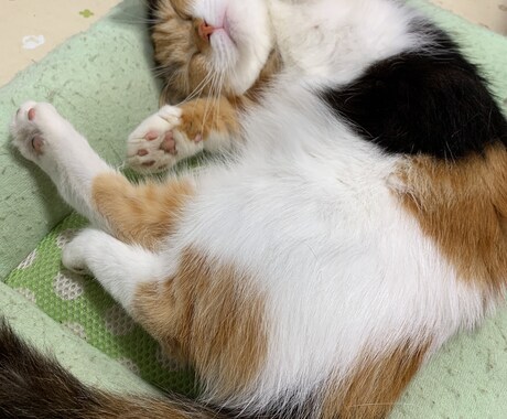 何でも愚痴聞きや相談受け付けます 恋愛からメンタル面まで幅広く対応出来ます。 イメージ1