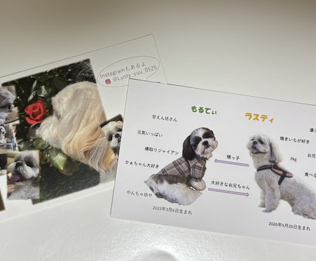 犬用名刺はもちろん様々な名刺を作成します あなたの心に寄り添った名刺をどうぞ イメージ2