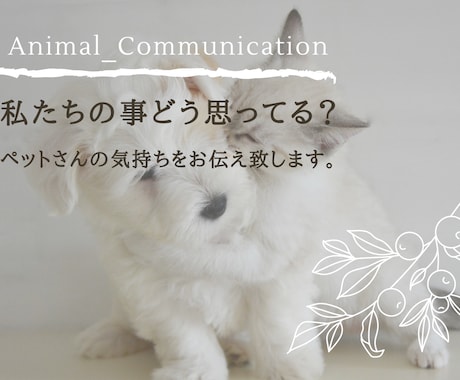 アニマルコミュニケーションします ペットさんとお話♬.*ﾟ質問5個＆伝言で3500円(*´`) イメージ2