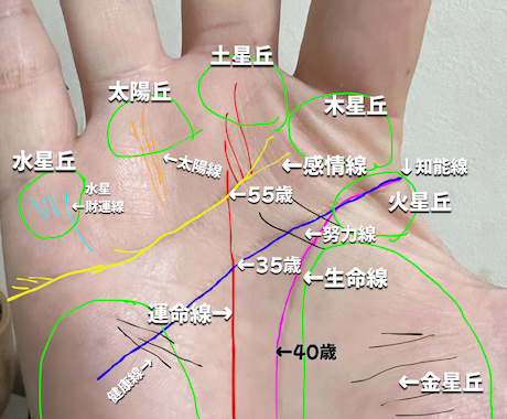 左右の手相から仕事.金運等、本格鑑定で読み解きます 左右の手相を比較して、本来の才能と現在の運命を本格鑑定！ イメージ2