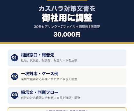 医療・介護向けカスハラ対策文書を自社化します 30分ヒアリングで方針・相談・記録・研修を調整 イメージ1