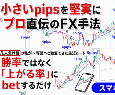 すでにご購入いただいた方のみへの、ご提供になります 【注意】8/17より追加したスクショ画像とインジケーターのみ イメージ2