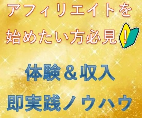 アフィリエイト体験感覚で副収入を得る方法を教えます これからアフィリエイトを始めたい方はコレで感覚を掴んで！ イメージ1