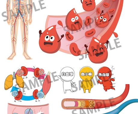 使いやすく分かりやすい！カラダのイラスト作成します イメージ1