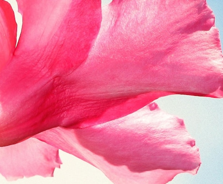 霊感霊視鑑定、お悩みの根源を視ます エネルギーチャージ☆不安なお心が軽くなるサービスです。 イメージ1