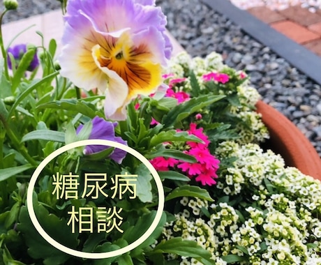 糖尿病療養指導のプロです。ご相談に応じます AIではできないあなたに合う管理方法を一緒に考えます。 イメージ1