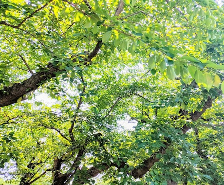 仕事、人間関係、家族、etc魂におききします 【個人情報不要】ご質問を魂におききします イメージ2