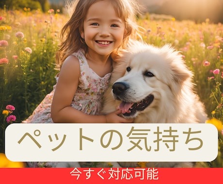 1000件超の絆【ペット】あの子と魂の対話をします 今を生きる子も、旅立った子も。本当の想いを伝えます。 イメージ2