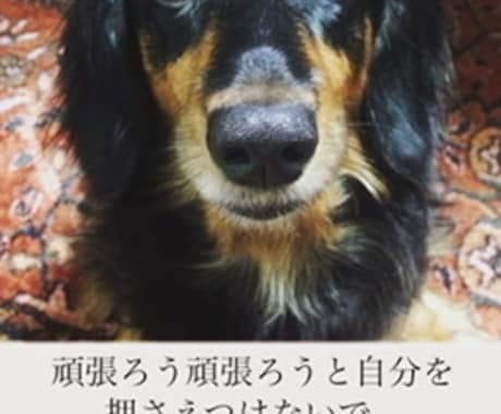 心に寄り添い話を聞きます あなたの閉ざしている気持ちを私に話してみませんか？ イメージ2