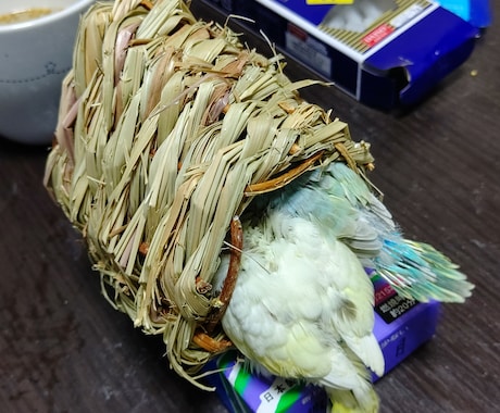 現役霊能者が心霊相談をお受けします 心霊写真鑑定から霊障かも？といった相談まで幅広くお受けします イメージ1