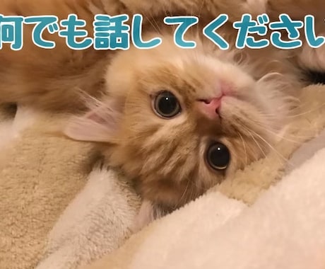 誰かに相談したいすぐに話したい短い時間から話せます あなたの手を暗闇から引っ張ります。 イメージ1