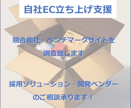 ECサイト構築・リプレースの相談承ります パッケージ選定、競合調査はお任せください イメージ1