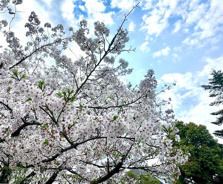 実績あるヘッドハンターがポイントをお伝えします イメージ1