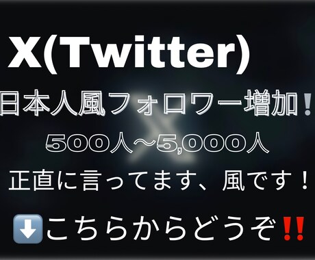 X 日本人風フォロワーを500人〜増加させます X/Twitter/5000人まで/15日間補填保証 イメージ1