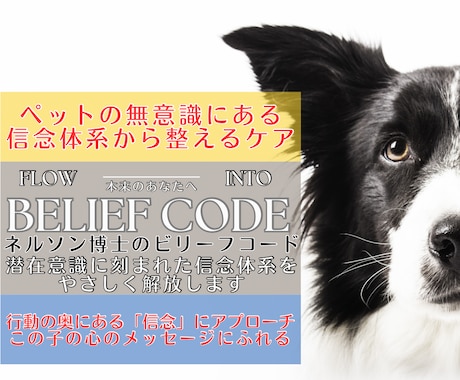 ペットの信念をやさしく整えて本来の状態へ導きます ネルソン博士のビリーフコードでペットの信念をやさしく整えます イメージ1