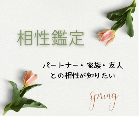 相性鑑定いたします ☆出生のホロスコープと鑑定。じっくり相性をみます☆☆ イメージ1