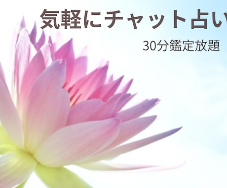 チャット占い☆タロット霊感鑑定ヒーリングいたします 今気になっていることを気軽に解決しませんか♪ イメージ1