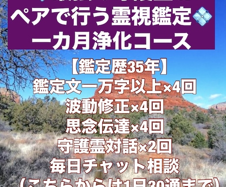 一カ月かけて祈祷を捧げ魂を浄化いたします 【鑑定歴35年】一カ月付きっきりのコースとなります イメージ1