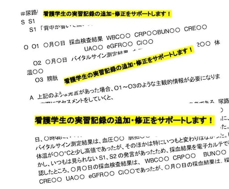 看護学生のレポート・論文をサポートします ＊現役看護師による監修が大好評！ イメージ1