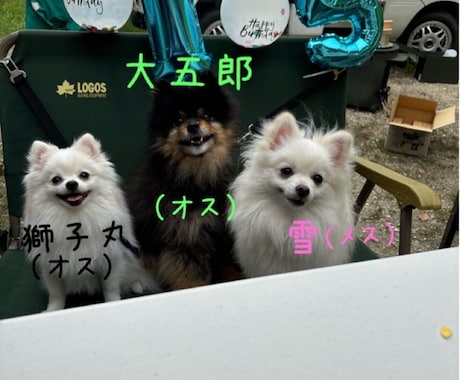 障がいを持ってるお母さんの話を聞きます 人に話すとスッキリしますよちゃんと相談にものります安心してね イメージ1