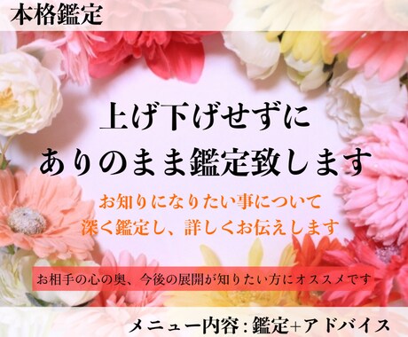 本格鑑定❤︎霊視・透視で気持ちや今後を視ます お相手の本音を読み解きます。ご質問はお２つまでお受けします イメージ1