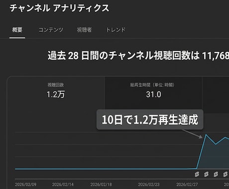 Pr限定！時短和訳☆字幕ファイルを即納します 10日で1.2万再生の実績！テロップ入れ作業をゼロに。 イメージ2