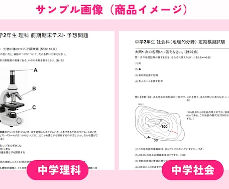 中高生【全科目対応】定期テスト予想問題を作成します 【中高生】数学・理科から副教科まで！全科目対応の予想テスト イメージ2