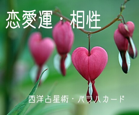 シナストリー占星術で恋愛相手との相性を視ます 行動、気持ち、願望のそれぞれの相性などの悩みに適しています。 イメージ1