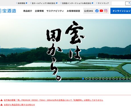 STUDIOでオリジナルのHP制作します 知識のない方でも大歓迎！高品質のホームページを制作します。 イメージ2