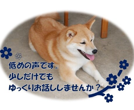 なんでもはなしてくださいひたすらお話を聞きます 大学で心理学を専攻し、現在人材業界で仕事しています イメージ1