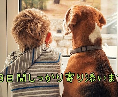 DV男に苦しんでいる方、全力で寄り添います 離れてからも色んな感情込み上げてきますよね イメージ1