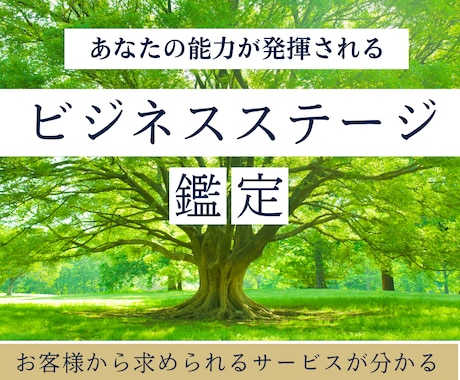 あなたの能力が発揮されるステージを鑑定します お客様から求められるサービスと活躍できる舞台が分かります イメージ1