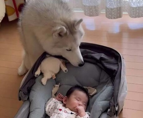 小さな家族が何を考えているか占います 大切なこの子は何を考えているの？知りたくありませんか？ イメージ1