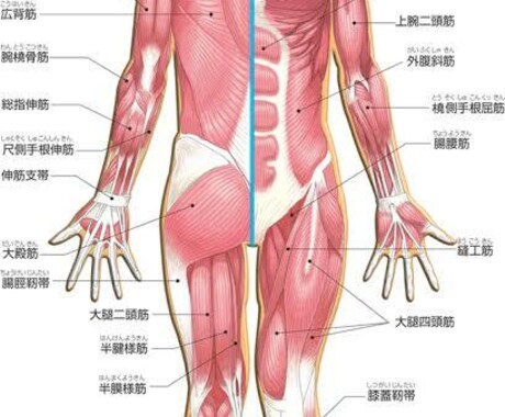 歌初心者〜中級者の人に技術を自分だけのものにします 歌の悩み？任せてください解決しますよ イメージ2