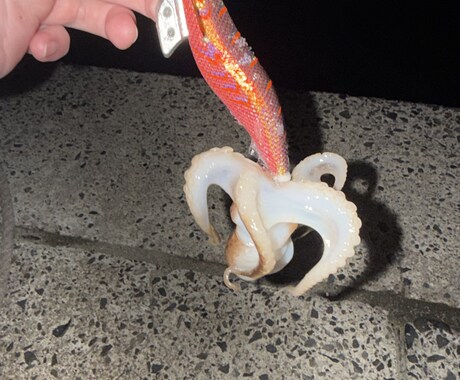 釣りを始めたい方に0から丁寧にアドバイスします 釣りで必要な道具の購入や釣り方を0から丁寧にサポート! イメージ2