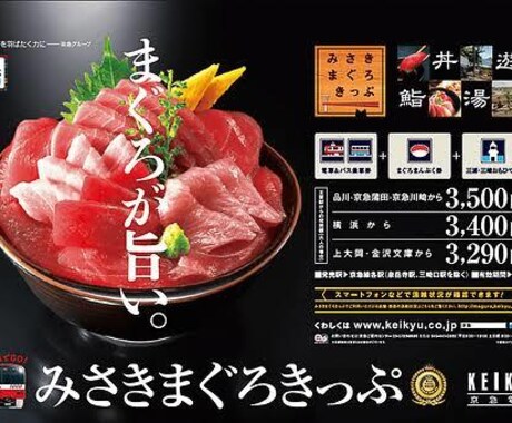あなたの代わりにみさきまぐろきっぷの下見行きます 「みさきまぐろきっぷ」「三浦半島まるごときっぷ」にオススメ！ イメージ1