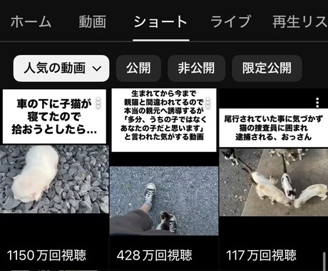ショート動画など制作代行いたします チャンネル登録者が4000人の私が再生される動画をお手伝い イメージ2