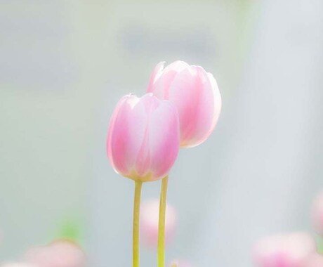 なんでもお話しお聞きします 嬉しいことでも辛いことでも、なんでもお気軽にお話しください。 イメージ1