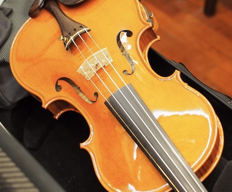 ヴァイオリン生演奏を録音・提供します 生演奏ならではのリアルなストリングス音色をご希望の方へ イメージ1