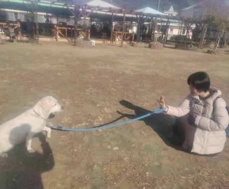 丁寧なカウンセリングとしつけアドバイスいたします わんちゃんのお悩みなんでもご相談ください。 イメージ2