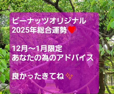 2025年⭐１年間の総合運勢を占います ピーナッツ⭐独自のオリジナル私法で開運アドバイス総合運勢 イメージ1