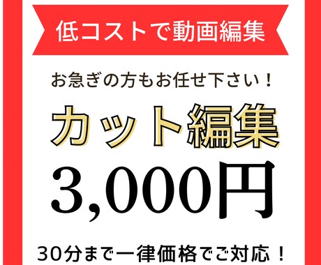 カット・ジェットカット特化で動画編集お受けします ご要望にお応えしスムーズなやり取りを心がけております。 イメージ1